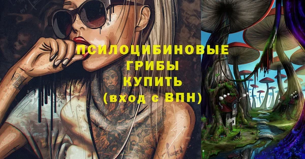 ALPHA PVP Корсаков