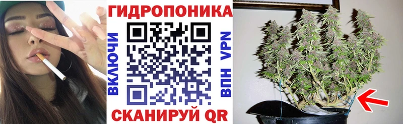 мега как войти  Гвардейск  МАРИХУАНА AK-47 